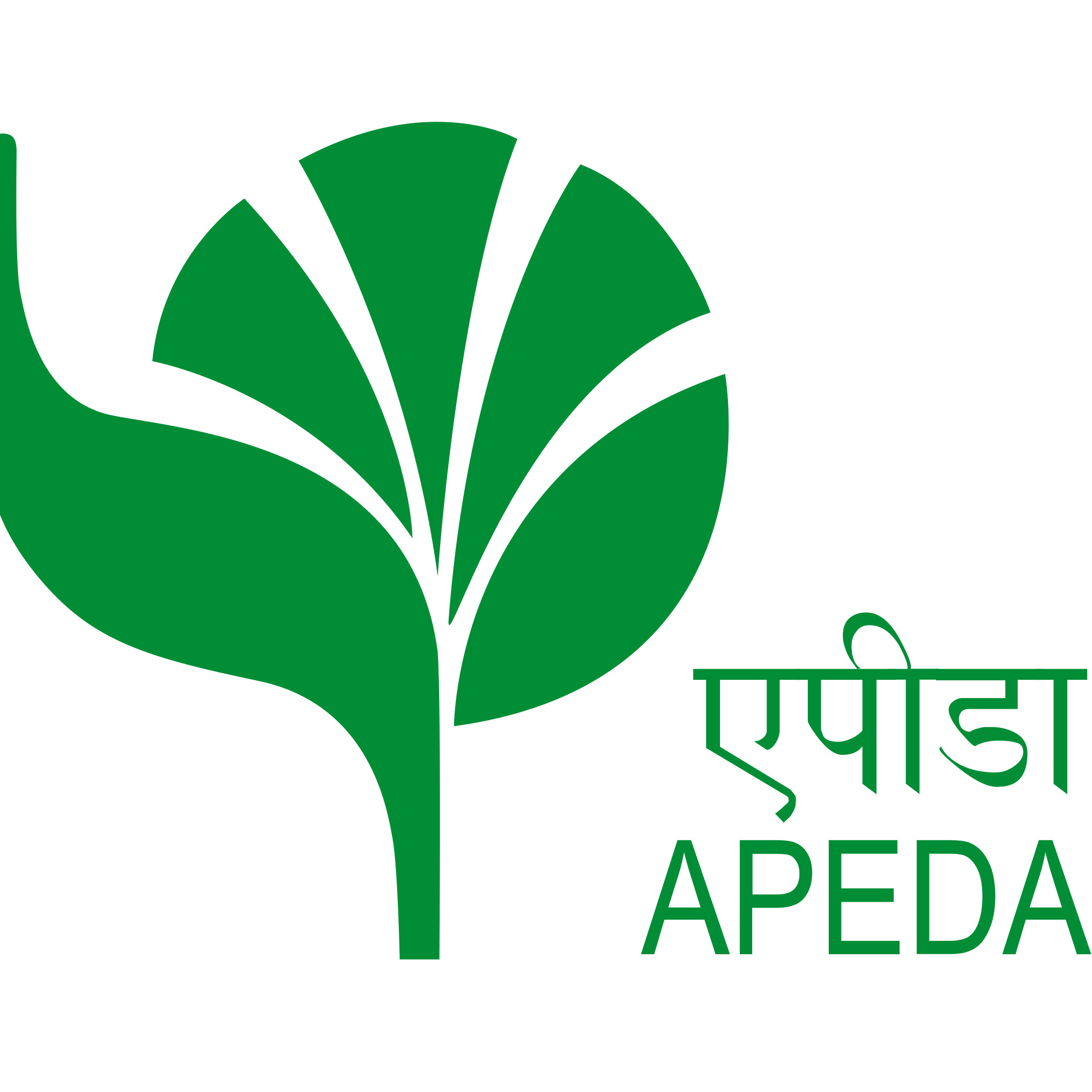 APEDA Certification - Cavendish Banana Export Certifications in India